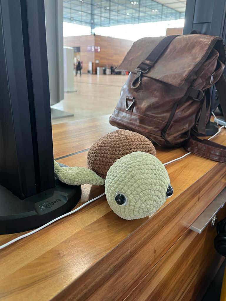 unfoundafrica's tweet photo. Fryda has been on the move. Here she is in #Berlin, 13000km away.
𝐃𝐢𝐝 𝐘𝐨𝐮 𝐊𝐧𝐨𝐰?
#loggerheadturtles can travel up to 13,000km annually? A rescued #turtle called Pan was released in Hout Bay by @2OceansAquarium in July '22. By December, he had travelled 4,300km! https://t.co/pV33yqwJpn