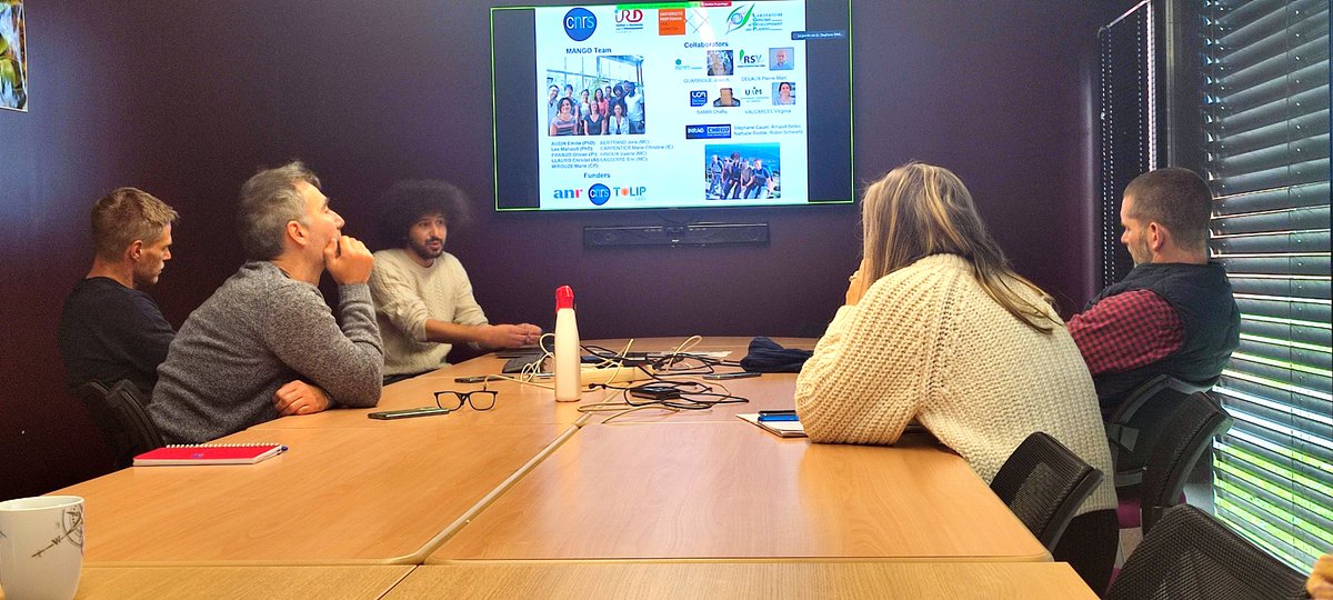 <a href="/MoaineBaidouri/">El Baidouri Moaine</a> presents the progress of his research on horizontal DNA transfers between plant genomes.🌿🧬🌱

🧐Feedback on the first analyses of plant sampling collected in the Massane forest for the exotica project.

bit.ly/3FoVjdA