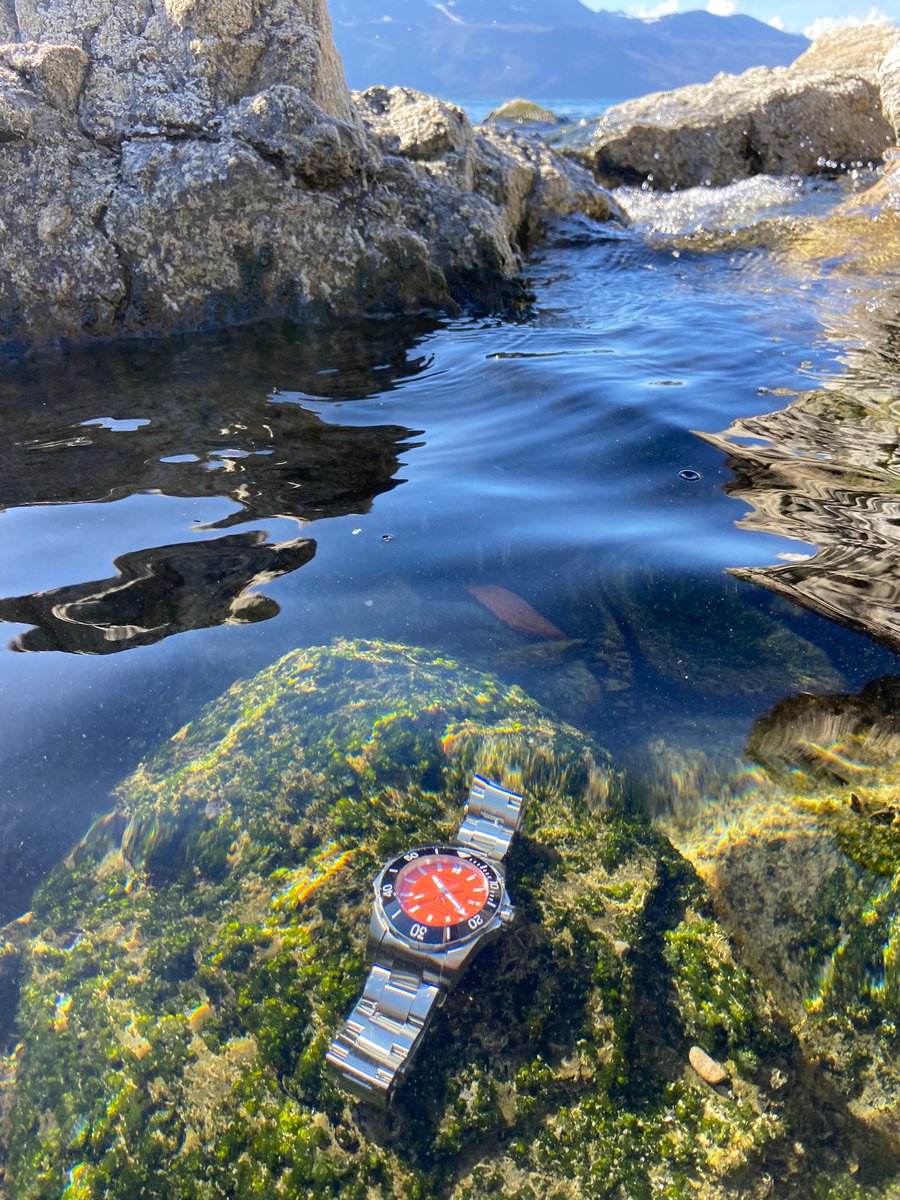 Nothin’ but 

#Cully #LakeGeneva #Switzerland #Swiss #Diver 🇨🇭🤿🌅