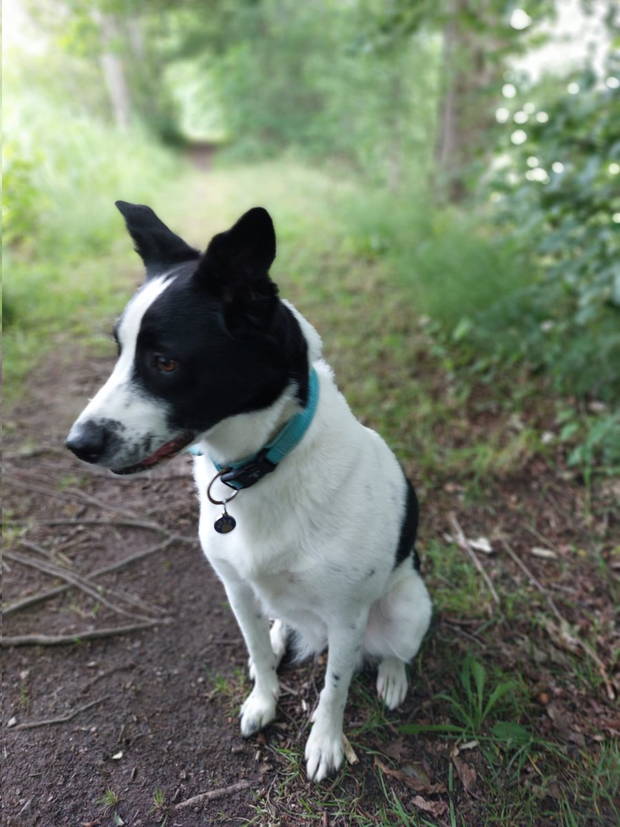 Christina R Stanley tweet media