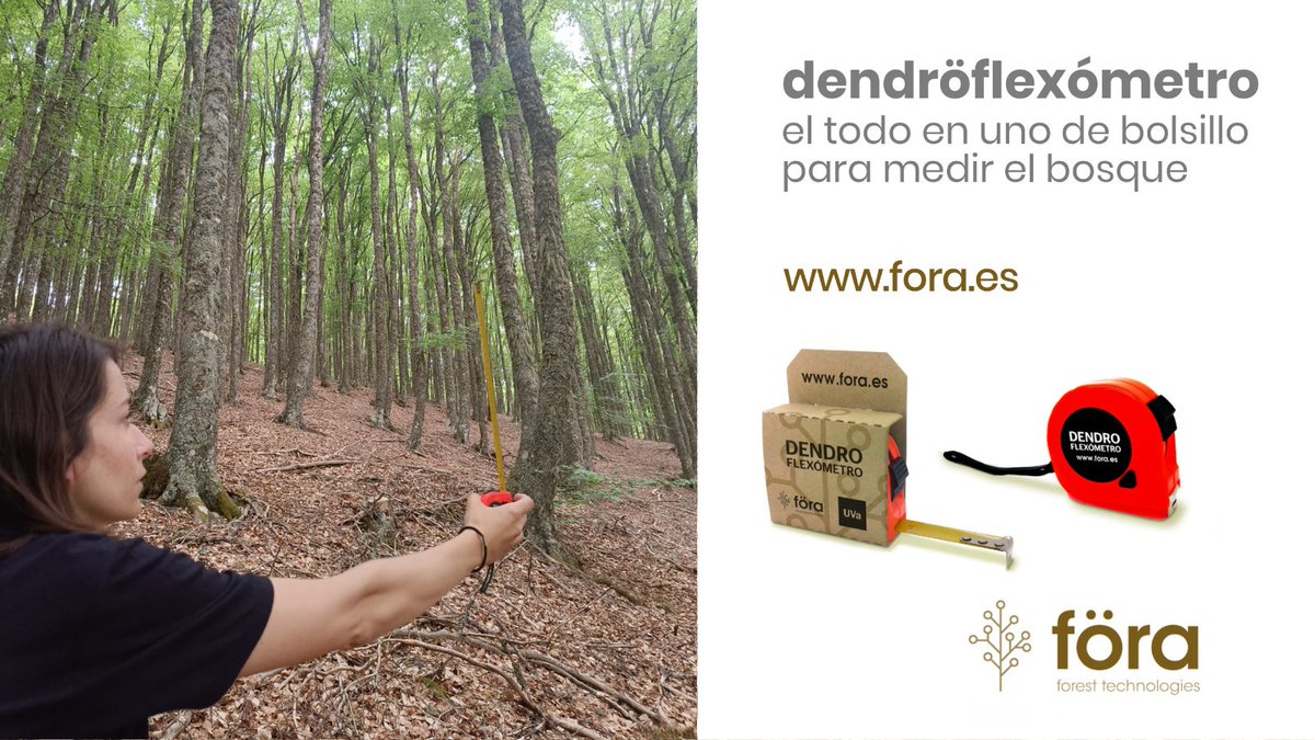 foraforestech's tweet photo. ¿Aún no conoces el dendröflexómetro? 

el todo en uno de bolsillo para medir el bosque

📏🌳compacto, manejable y económico para que puedas llevarlo a cualquier sitio

https://t.co/HyAfJowqDy

#somosföra #soyforestal  @PC_UVa https://t.co/nJZC2LB1o0