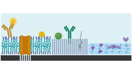 HelvChimActa's tweet photo. Read a review about the advances in biohybridized planar polymer membranes and membrane-like matrices by Palivan @Palivan_Meier and coworkers @Unibasel_en @SNIunibas @SwissWomenChem #WomenInSTEM #OpenAccess https://t.co/69dpDB9Hpz https://t.co/kVIOXOrTqj