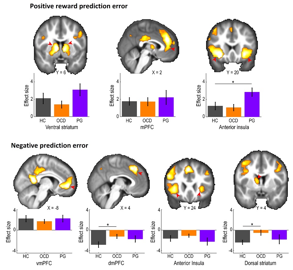 PLOSBiology's tweet photo. #OCD & problem #gambling are associated with distinct patterns of learning from positive & negative #reward #PredictionErrors, providing a neurocomputational account of abnormal #InflexibleBehaviors in those disorders @szkshnsk &co #PLOSBiology https://t.co/3ZVxRx6Wly https://t.co/LlmtXzRd3O