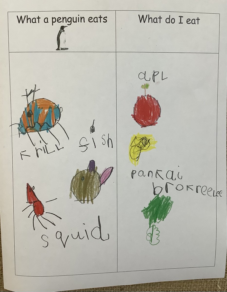SiggsCEPrimary's tweet photo. The Hedgehogs have been comparing what they eat to what penguins eat and asking questions. Why don't penguins eat sausages and pancakes? #ScienceWeek #siggscience #sigghedgehogs #understandingtheworld https://t.co/mnwnEtzyKH