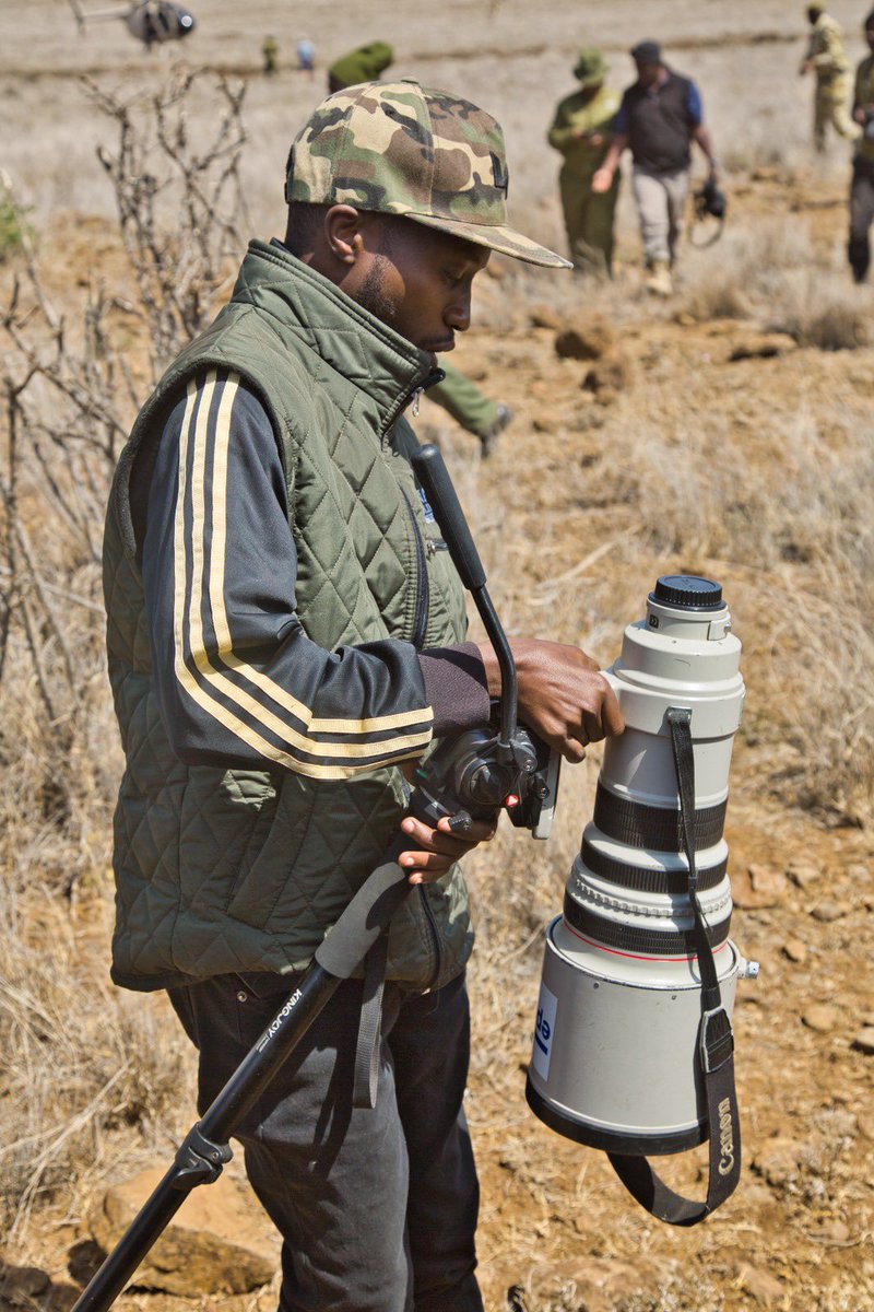 KimaniGithuku1's tweet photo. Hapa kazi tu @LewaConservancy
Rhino Ear-notching is an adopted & verified system that provides rhinos with markings on specific areas of the ears where each animal gets a unique code to enable positive identification.
#conservation #rhino
#earnotching https://t.co/lKxDqELSiv