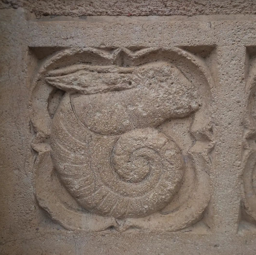 YoanPom's tweet photo. L'animal mystère est un détail de la cathédrale Saint-Jean, il y a plein de dragons, sirènes, oiseaux et autres bestioles bizarres... https://t.co/gXfvRhbQZa