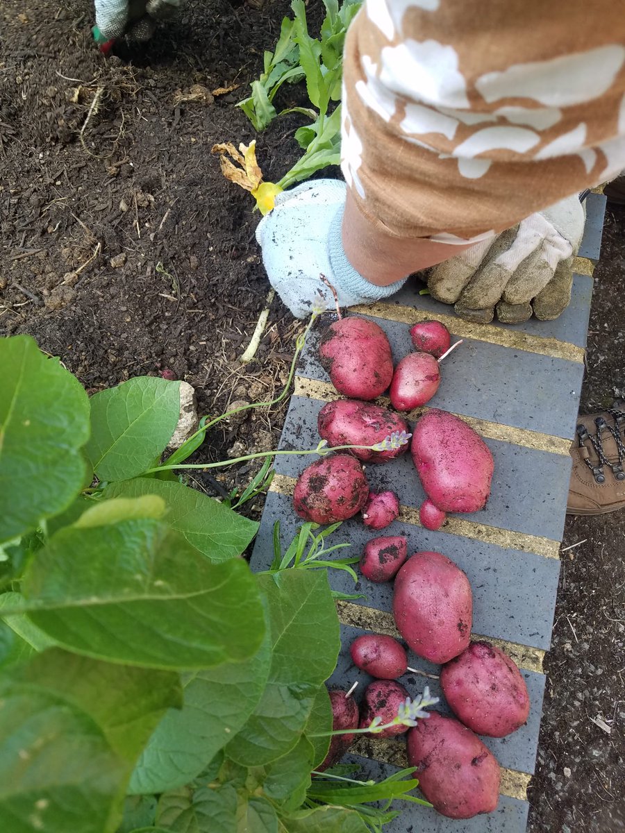 Edible High Town tweet media