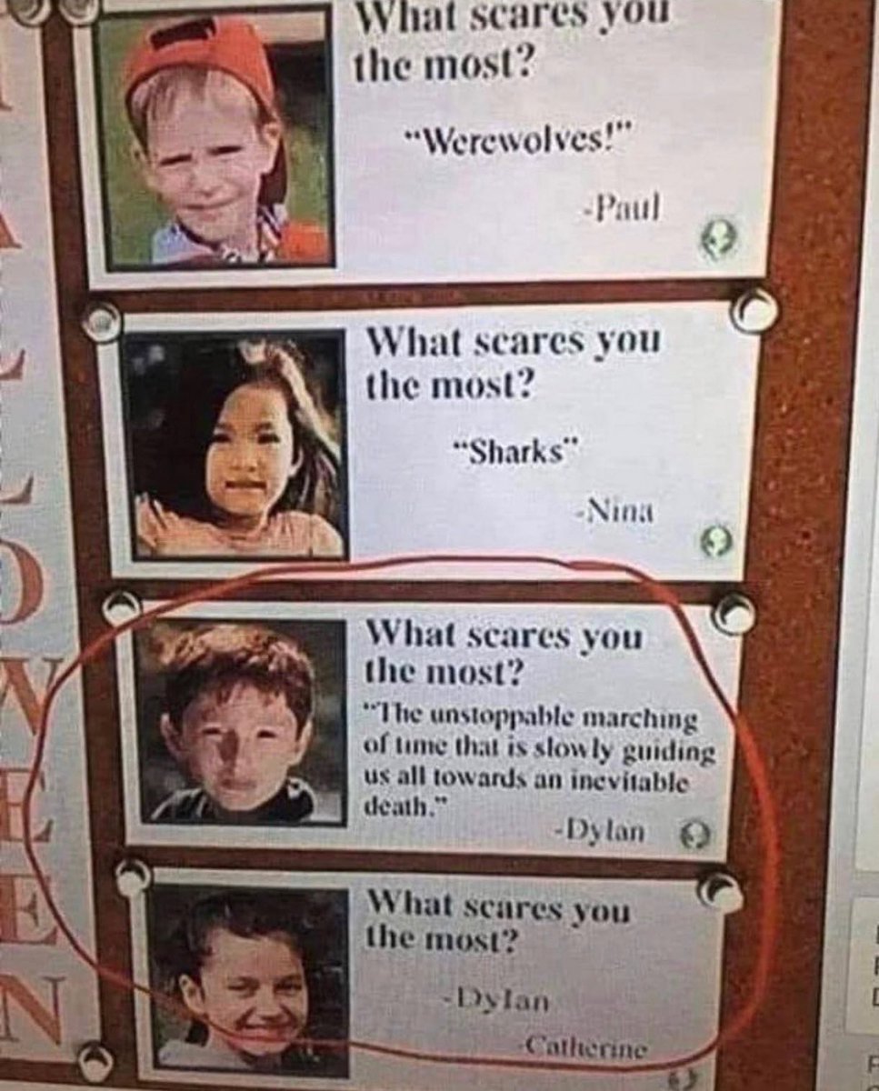 NO CONTEXT HUMANS (@humansnocontext) on Twitter photo 