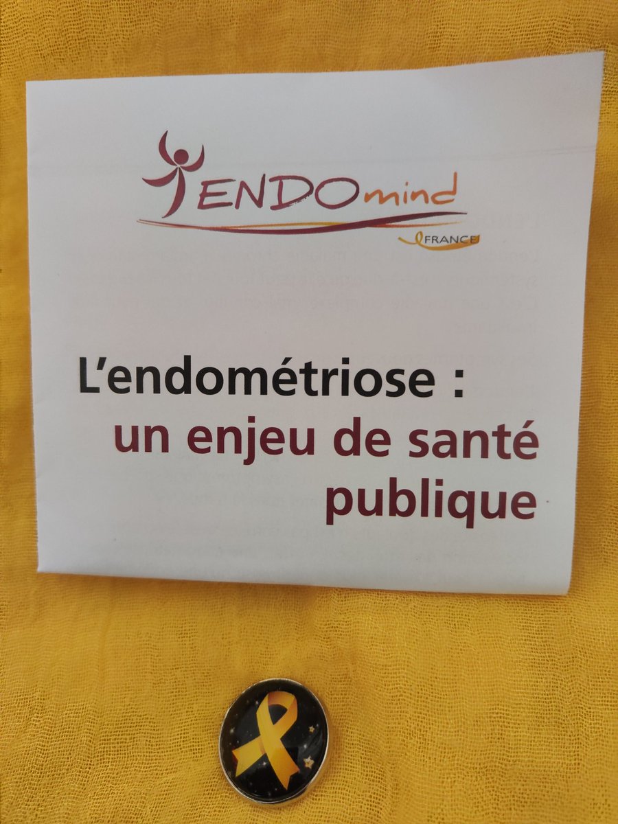 🎗️🎗️🎗️ L' #Endometriose est un enjeu de santé publique pour @ENDOmindFrance. En mars, une mobilisation massive est possible en portant le ruban jaune 🎗️ quelque soit votre activité du moment. Et si nous étions des milliers de personnes à porter le 🎗️des aujourd'hui #ENDOMARS2023