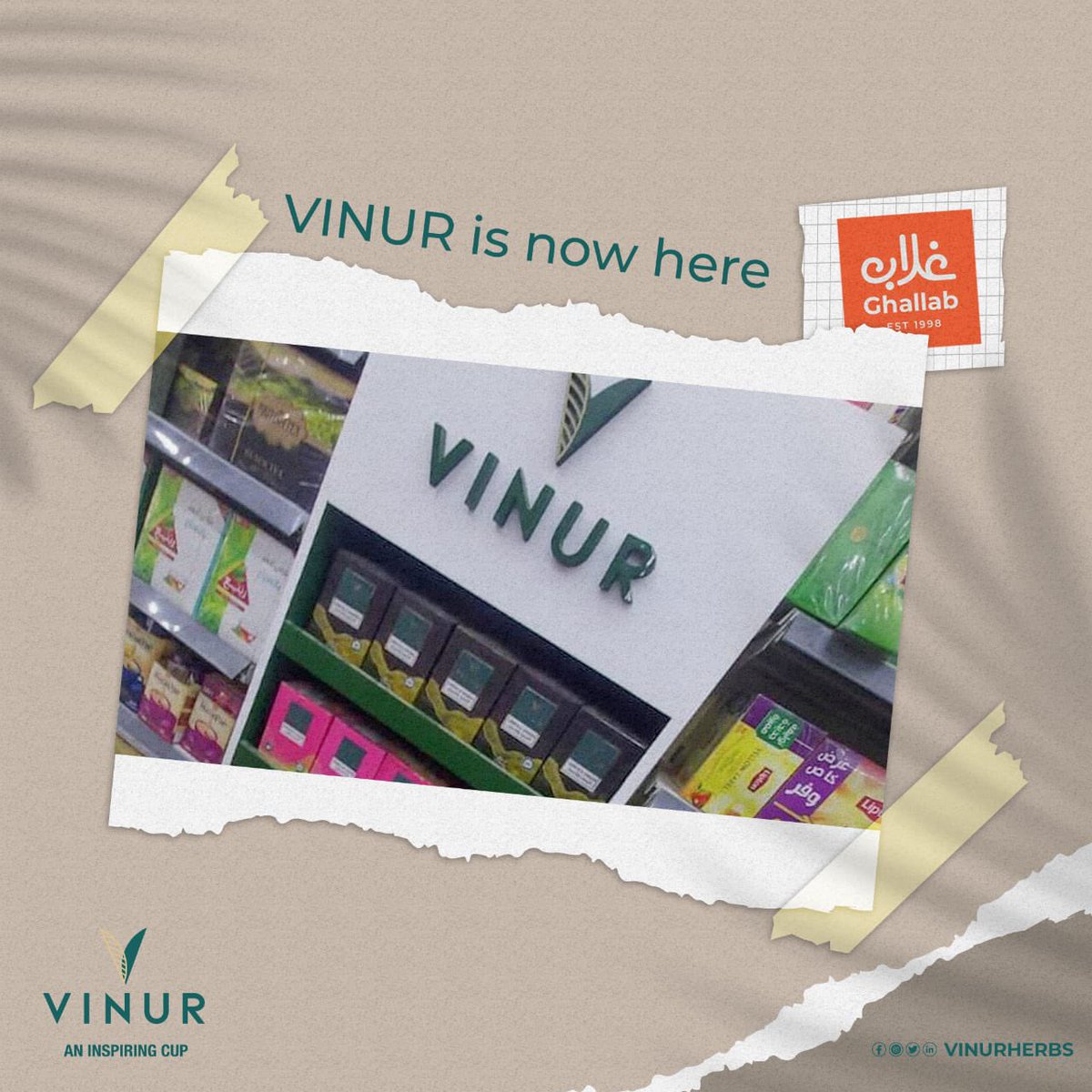 vinurherbs's tweet photo. 📍الفيوم
- عرفه ماركت
- سبيس ميني ماركت
- أسواق غلاب
- الفا ماركت
- زاد ماركت
#VINUR
#صاحب_كل_وقت https://t.co/AZqkYeJ71O
