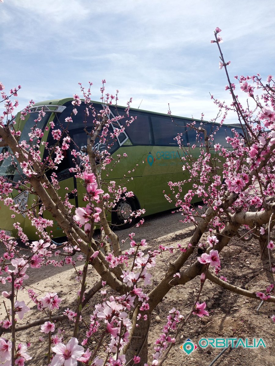 🌸🌸¡La #primavera llegó! El campo huele a flor de almendro y pronto sus pétalos embellecerán el suelo. Mientras tanto, en Orbitalia disfrutamos de este magnífico período.

¿Te gustan los almendros en flor?