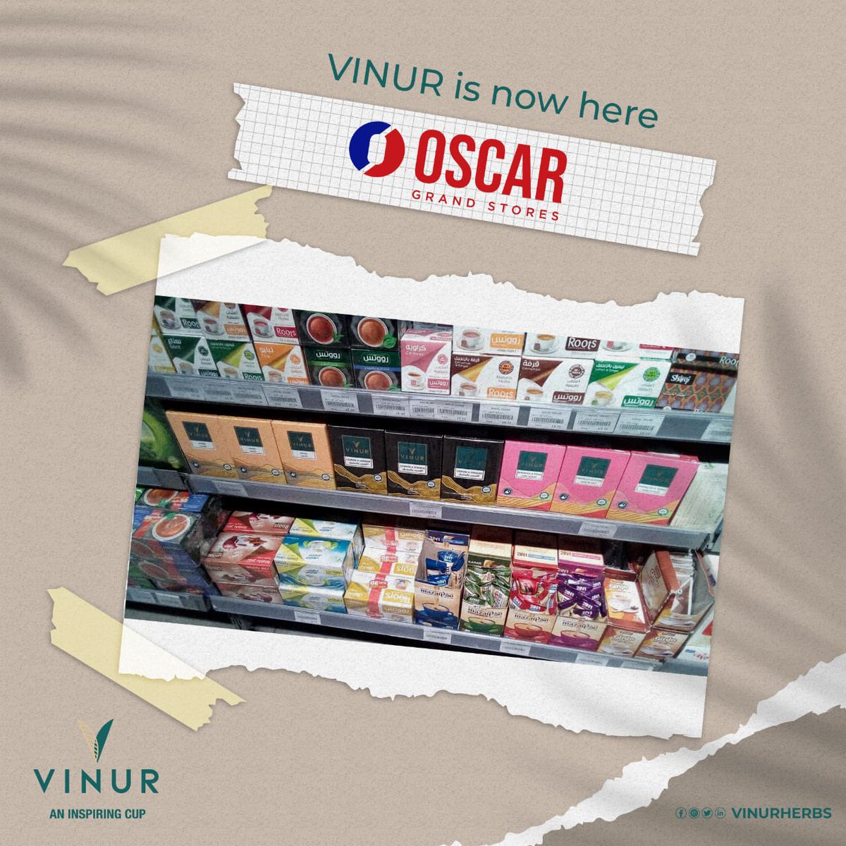 vinurherbs's tweet photo. دلوقتي تقدروا تستمعوا بمنتجات الأعشاب الطبيعيه من VINUR و تشتروها من أقرب مكان ليكم في القاهره من خلال أماكن تواجدنا 👇🏻

📍القاهره 
- فروع Oscar Grand Store بالتجمع الخامس و المعادي. 

- فروع Royal House بروكسي و الشروق. https://t.co/DFNAZ6Xvk6