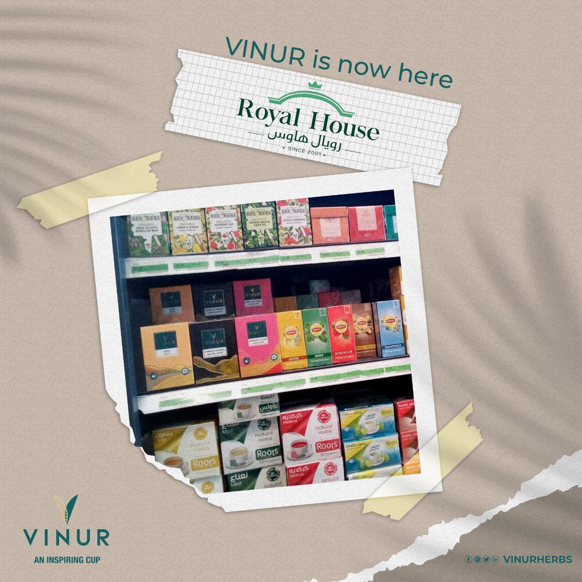 vinurherbs's tweet photo. دلوقتي تقدروا تستمعوا بمنتجات الأعشاب الطبيعيه من VINUR و تشتروها من أقرب مكان ليكم في القاهره من خلال أماكن تواجدنا 👇🏻

📍القاهره 
- فروع Oscar Grand Store بالتجمع الخامس و المعادي. 

- فروع Royal House بروكسي و الشروق. https://t.co/DFNAZ6Xvk6
