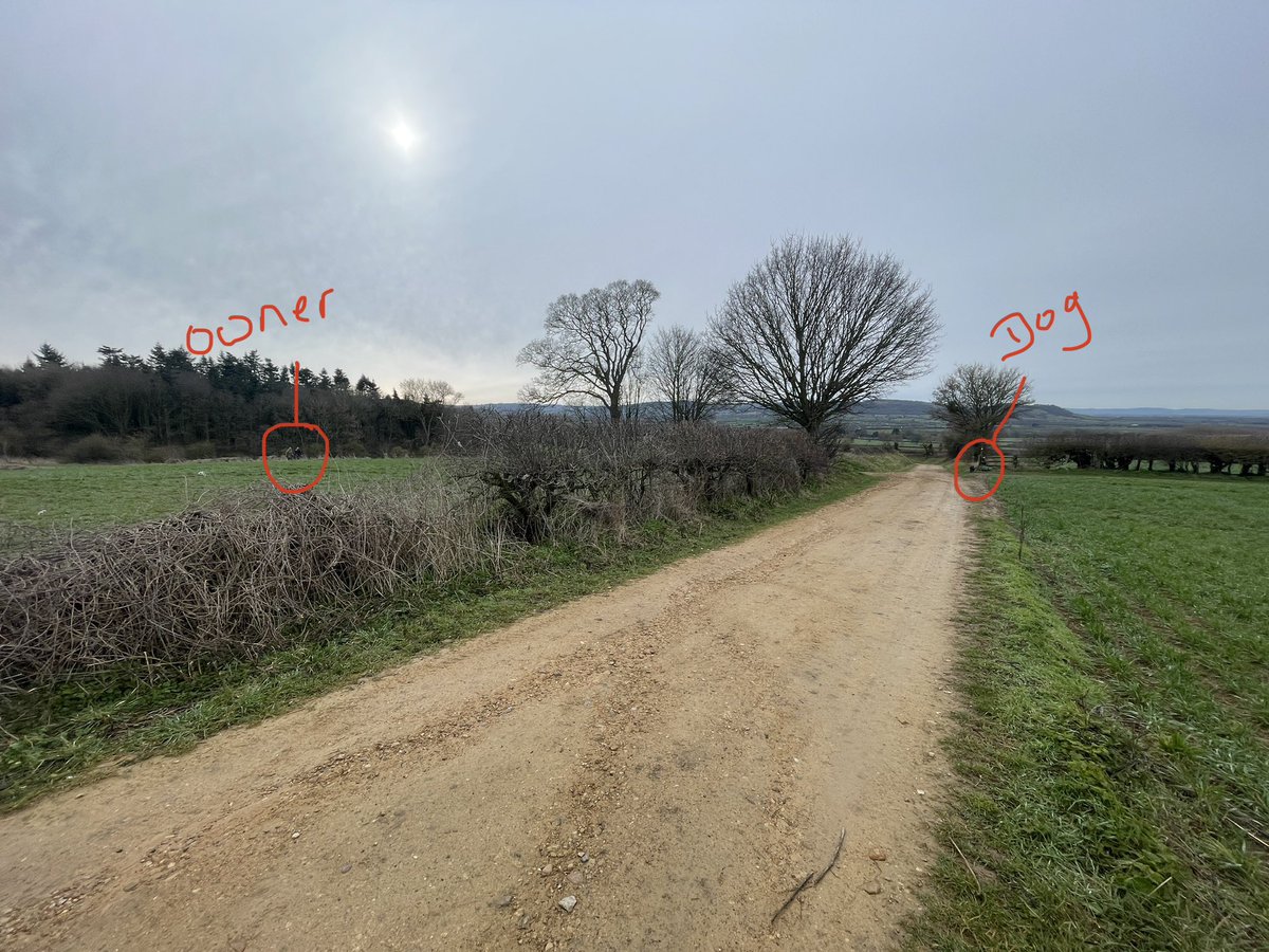 Just been watching a few birds getting some territory sorted out and this #disruption #dogs should be on leads. Hard work being done by farmers/keepers very often being undone by ignorance