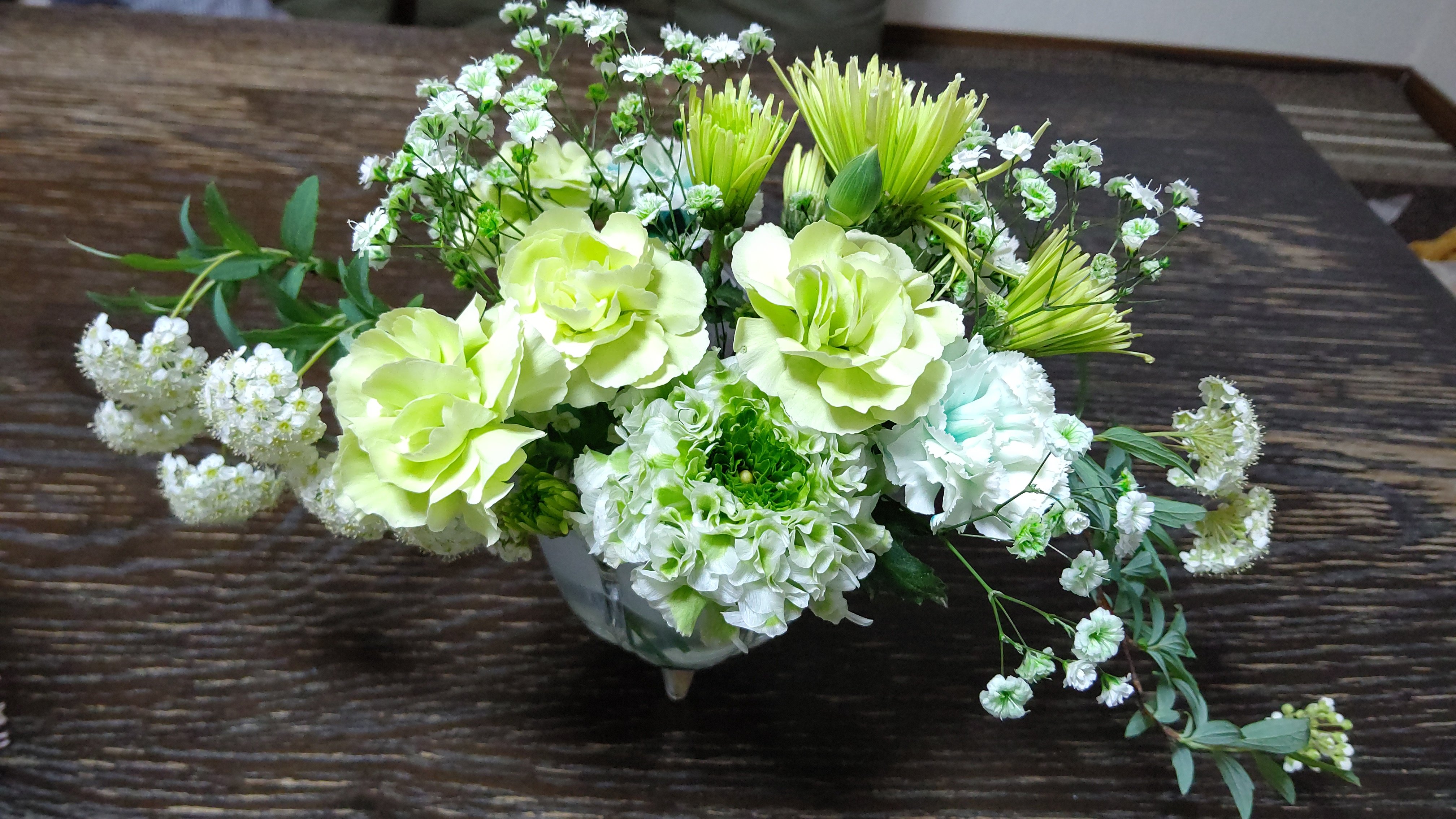 卓上花 - Search / X