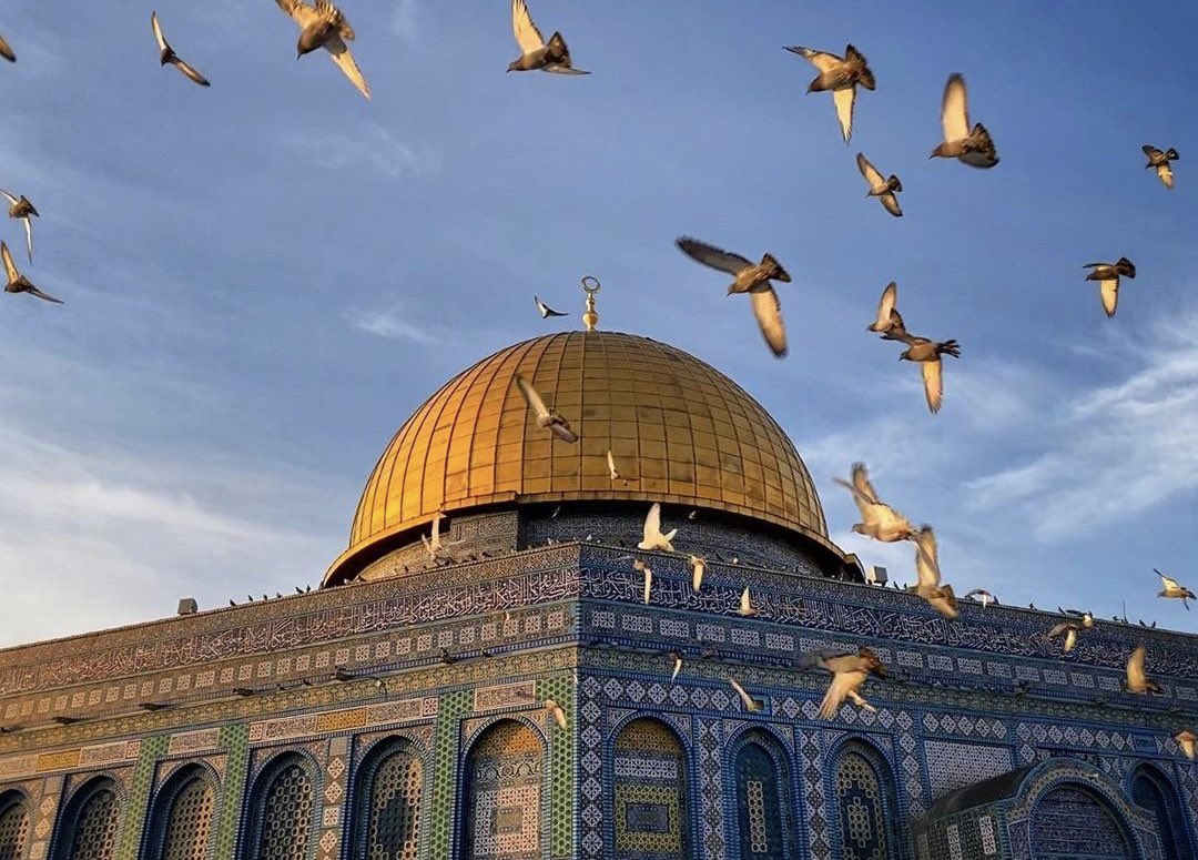 hayalhanemersin's tweet photo. Hatırla Fil Suresini. 
Sen güçsüz değilsin, kimsesiz değilsin. Senin Allah’ın var. Ve sakın unutma;
Bizde Allah isterse, kuşlar filleri yener.. https://t.co/iJ23NUYe11