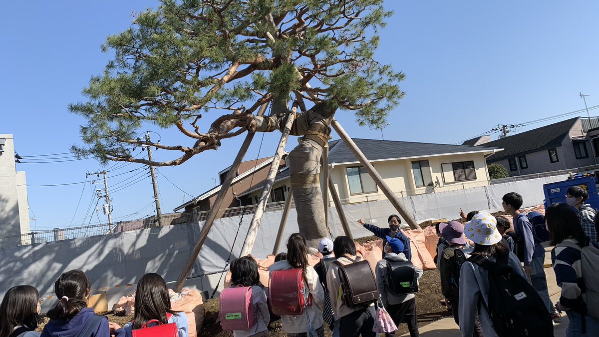 setagaya_eizen's tweet photo. 昨日は池���上小学校の6年生を対象に、「池之上小学校改築工事現場見学会」を開催しました。移植した松の木やサザエさんの壁画の見学も交え、鉄筋などの工事で使う材料にも実際に触れてもらい、現場を感じてもらいました。#世田谷　#池之上小学校 https://t.co/WtKmk18Ow9