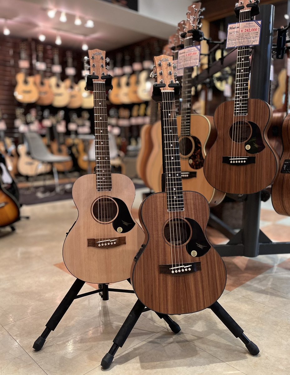 dolphingt's tweet photo. 【東京店】ミニメイトンズ 再入荷!
先日は3機種とも即売れでしたのでこちらの2本を追加でいただきました。
EM6
EMBW6
もちろんニューヴァージョンのスプリットサドル仕様!
#maton
#minimaton
#ミニメイトンズ https://t.co/fG70snKAYV
