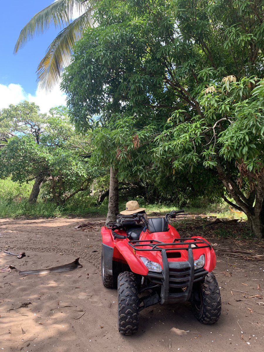 Captain Kai 🏆🇿🇦 tweet media