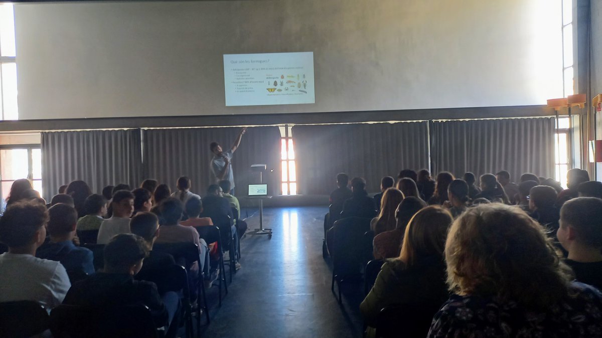 Institut Rocagrossa tweet media