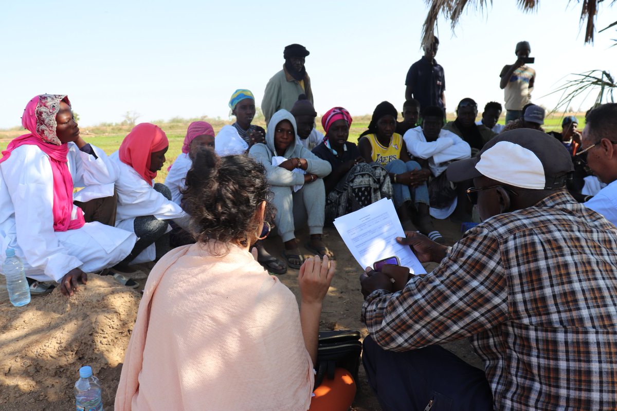 FAOMauritania's tweet photo. @FAOMauritania en partenariat avec le #CFPR soutient l’employabilité des jeunes ruraux. 200 jeunes suivent une formation théorique et pratique au sein de la Ferme M’pourié, des coopératives agricoles et initiatives privés dans la région du Trarza @bmel https://t.co/X6bLAq4UVq