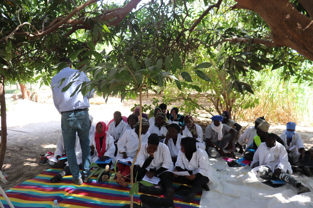 FAOMauritania's tweet photo. @FAOMauritania en partenariat avec le #CFPR soutient l’employabilité des jeunes ruraux. 200 jeunes suivent une formation théorique et pratique au sein de la Ferme M’pourié, des coopératives agricoles et initiatives privés dans la région du Trarza @bmel https://t.co/X6bLAq4UVq