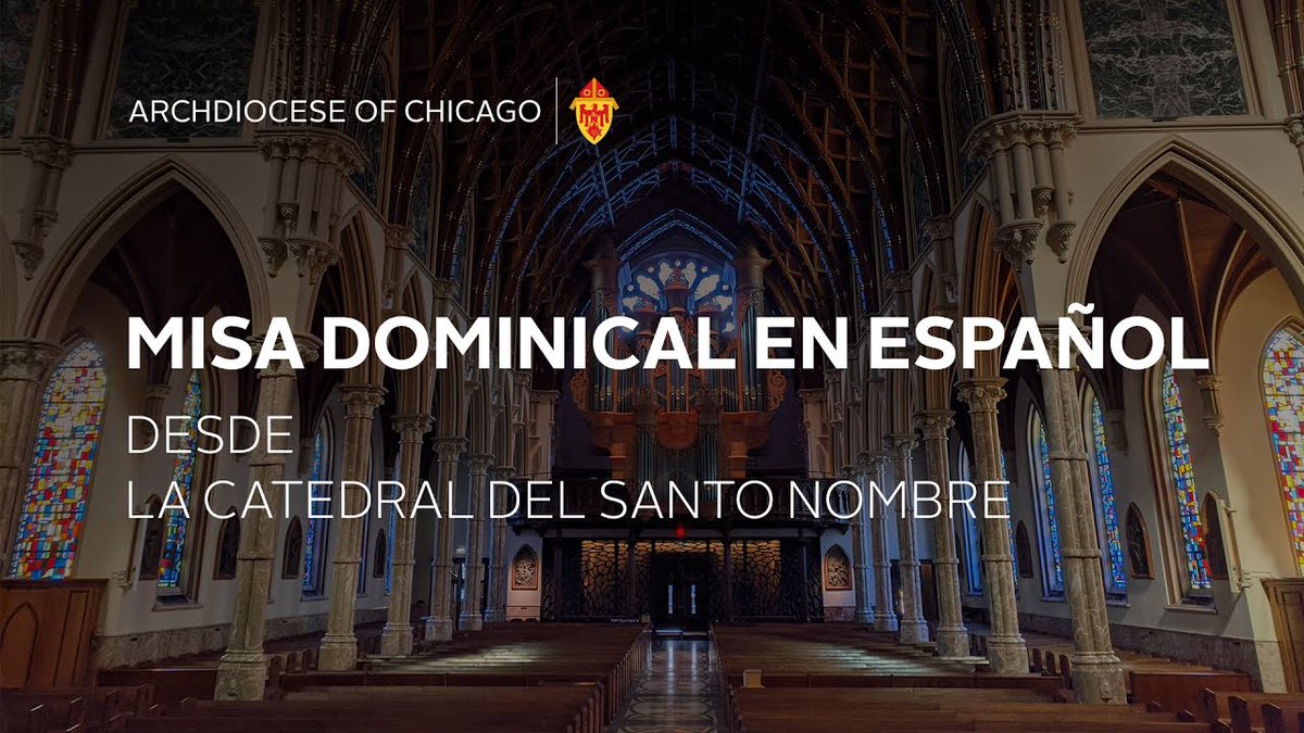 inbella's tweet image. Misa dominical en español desde la Catedral del  ...
 
inbella.com/236682/misa-do…
 
#Catholic #CatholicAnswers #CatholicBeliefs #CatholicBishop #CatholicBlessing #CatholicChurch #CatholicChurchHistory #CatholicDoctrine #CatholicFaith #CatholicMass #CatholicSaints #Catholicism