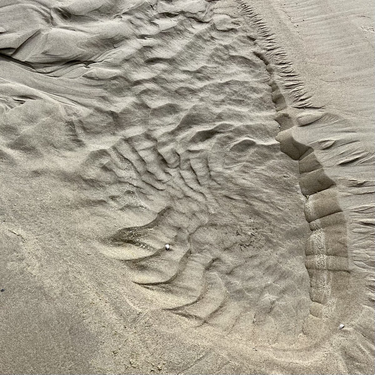 PisangG23's tweet photo. GM proceed with caution. 

#GoodTrouble #beach #sand #LEGO #TinyBreak #TinyAdventure https://t.co/2bthZcuqNE