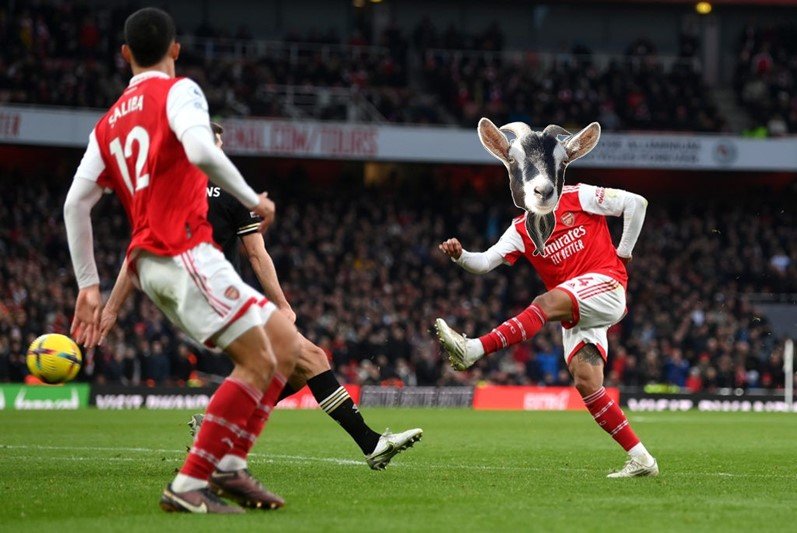 Reece Carpenter tweet media