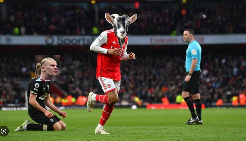 Reece Carpenter tweet media