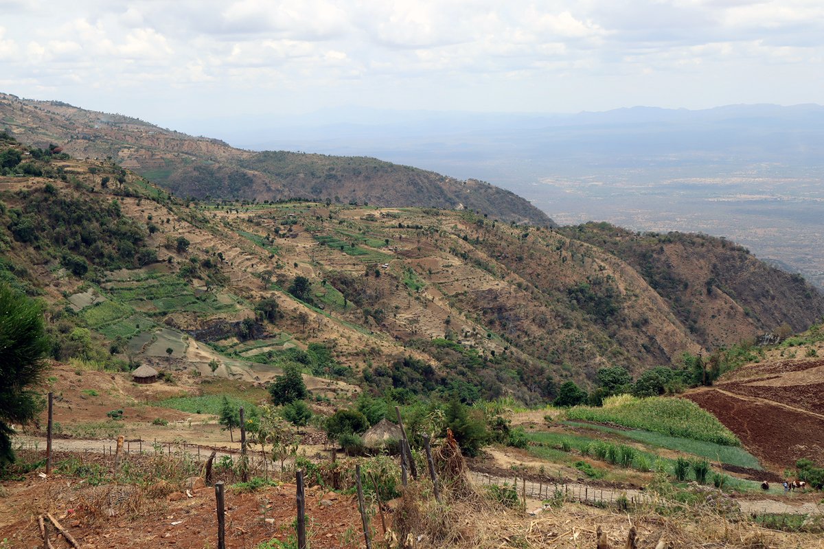 The Elgeyo Marakwet county #restoreafrica programme will be launched tomorrow at Iten Grounds. It seeks to improve livelihoods through restoring the ecosystem #worldvision #ICRAF #justdigit #greenbeltmovement #selfHelpAfrica #africaharvest #globalevergreening