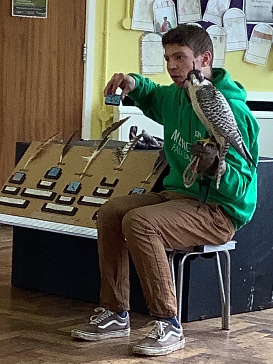 SSSJ_RISE's tweet image. Pre-school and Class one have just had a lovely time learning all about birds of pray. We met Sway the owl, Peggy the buzzard and Sky the peregrine falcon. The children are really looking forward to seeing them fly later today. @Rise_MAT #flourishandsucceed #birdsofpray