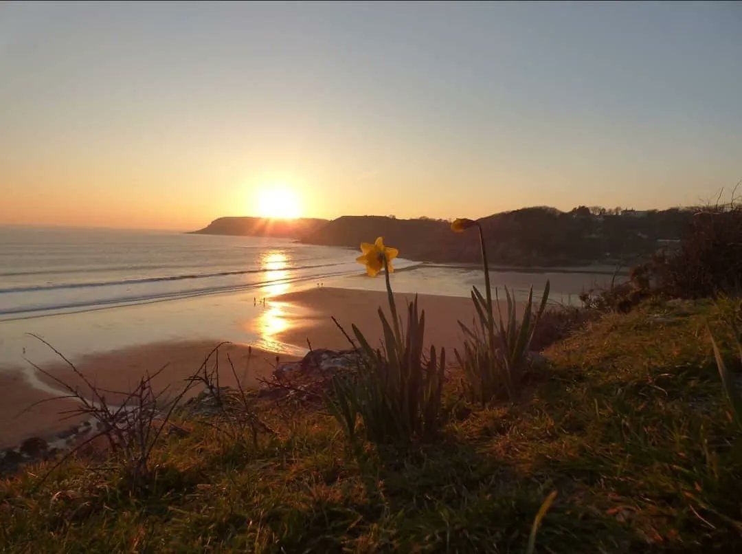 ClyneFarmCentre's tweet photo. Caswell - Beach of the week!
Juat a 10 minute drive from the farm, Caswell is a perfect beach for families and surfers alike.  Parking, toilets and cafes available. Dog friendly in the Winter. 

#BeachOfTheWeek #Caswell #Surfing #ClyneFarmCentre #FamilyRunBusiness #BookDirect https://t.co/VUOJzuuOhE