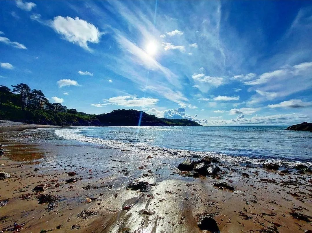 ClyneFarmCentre's tweet photo. Caswell - Beach of the week!
Juat a 10 minute drive from the farm, Caswell is a perfect beach for families and surfers alike.  Parking, toilets and cafes available. Dog friendly in the Winter. 

#BeachOfTheWeek #Caswell #Surfing #ClyneFarmCentre #FamilyRunBusiness #BookDirect https://t.co/VUOJzuuOhE