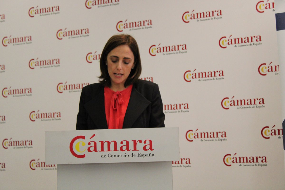 camarascomercio's tweet photo. Hoy acogemos en la Cámara de España el coloquio "Novedades fiscales. Charlando con Manuel de Miguel" organizado por #FEEX (Asociación Española de Movilidad Laboral Internacional) y #VialtoPartners. https://t.co/5gQ4rgH7rL