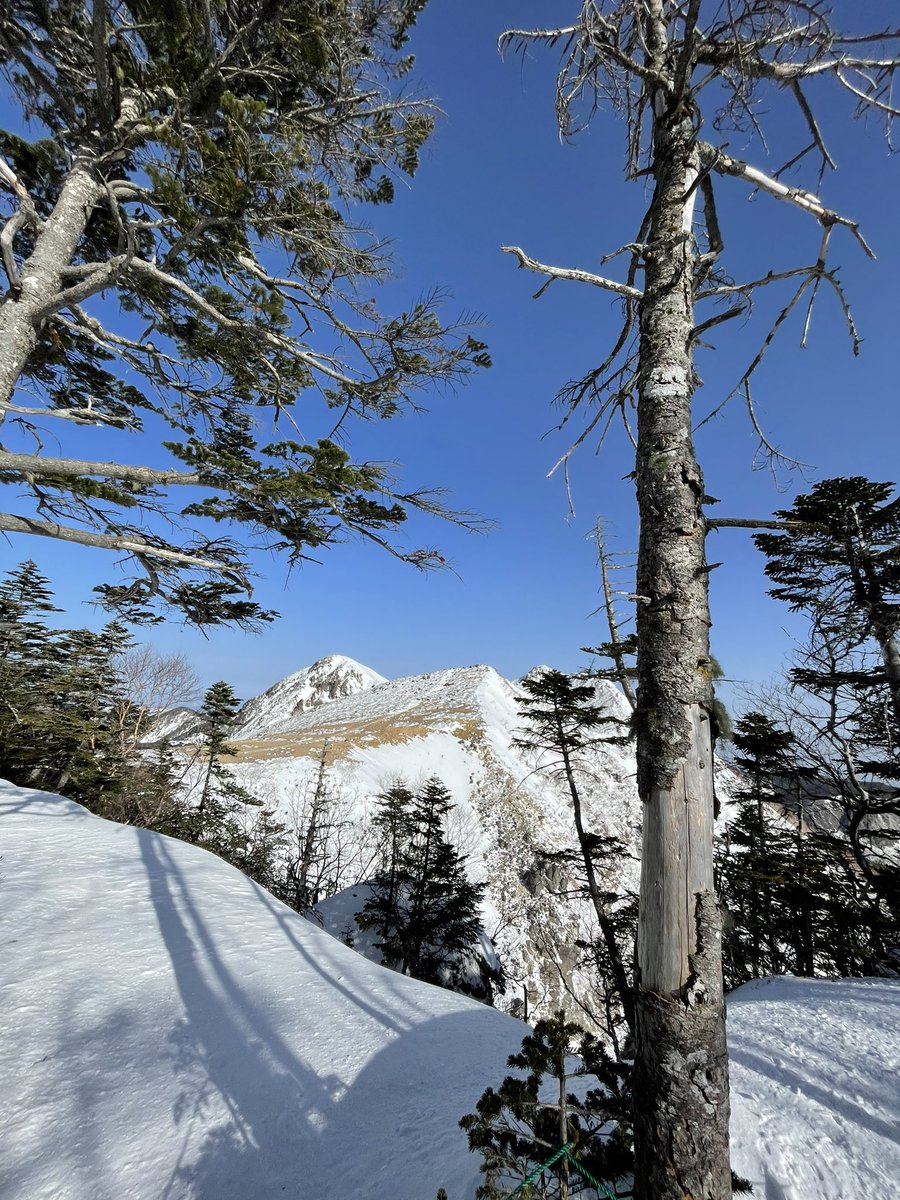 SheEmimie's tweet photo. 先週、低気圧の合間に根石岳登頂しました！前泊したけど、夜から朝まで雨で凹んでたら、ホテル出発した時点で雨が止んで、集合時間には青空が🥹麓の雨は、山では雪に。春の陽気のなか、新雪を歩くなんて、ご褒美がすぎる😭🏔 https://t.co/wlaDrFWP7o