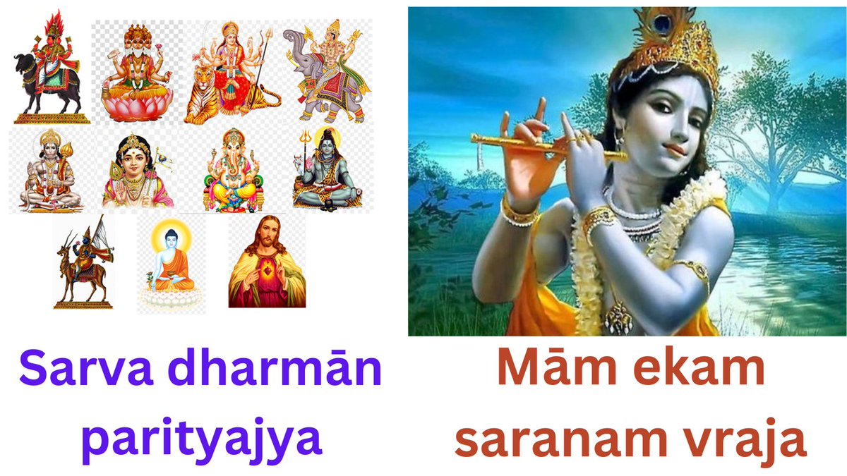 kiwiyan's tweet photo. @dadhilobha https://t.co/7gCBg8mg3G