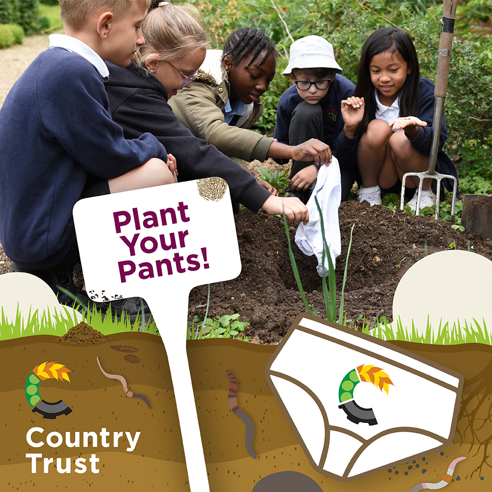 CountryTrust's tweet photo. Our feed is full of pants!! 👇🏽🩲😃🪱🌿

Great to see so many children (&amp; adults!) exploring, feeling, smelling and connecting with soil.

Recently planted your pants? Don't forget to make your mark on the map!

https://t.co/yAiOtzY6FN

#PlantYourPants #MoreThanMud
#BSW23 https://t.co/TfyJAHdpyT