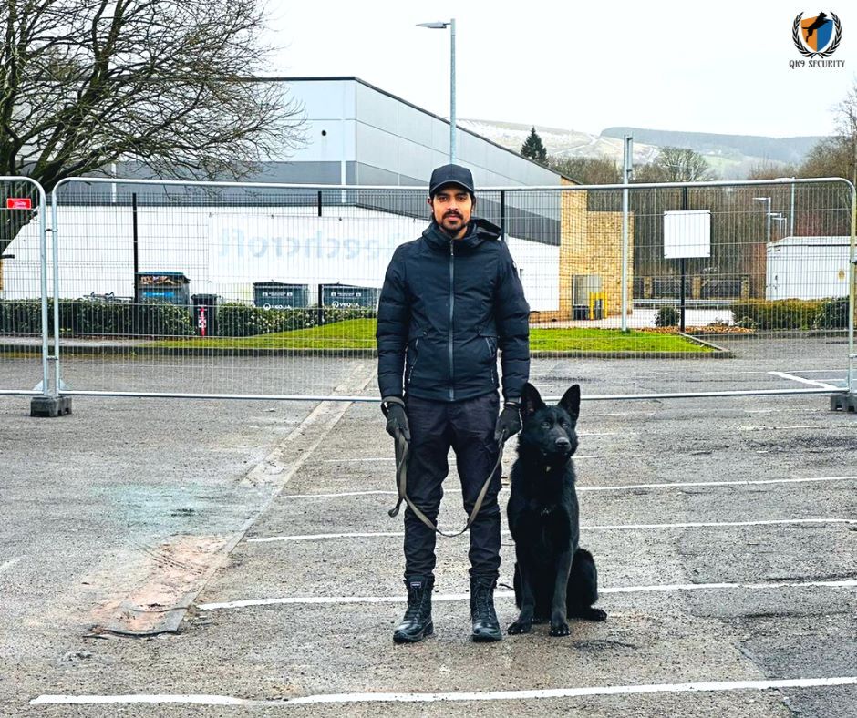 'Meet our responsible dog handler. We're grateful to have such a skilled and compassionate member in our team!'
Qk9 Security Services Ltd.
#Security #SecurityGuard #SecurityOfficer #SecurityEveryday #dog #Handles #doghandler #qk9 #K9 #k9security #securityservices