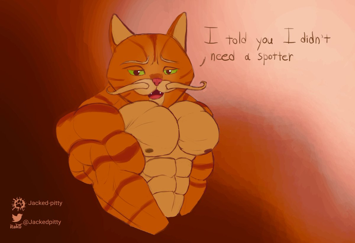 JackedPitty's tweet photo. Oh no. What have I done?! https://t.co/PU3dQPBgwL