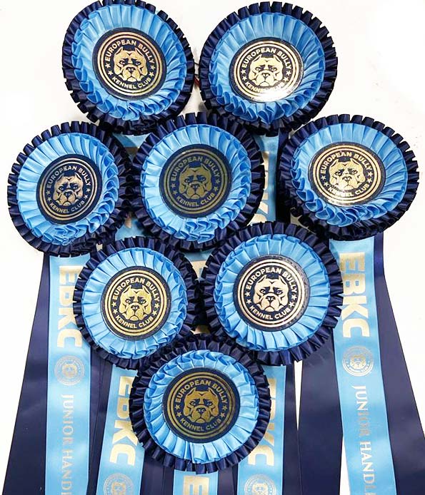 ShamrockRosette's tweet photo. Best wishes to The European Bully Kennel Club whose show takes place this Sunday 19th March at the Emerald Equestrian Centre in Mucklon, Enfield, Co. Kildare. #EBKC
Further information is available at https://t.co/CoZxTj5zMJ https://t.co/BQxkXGBPX7