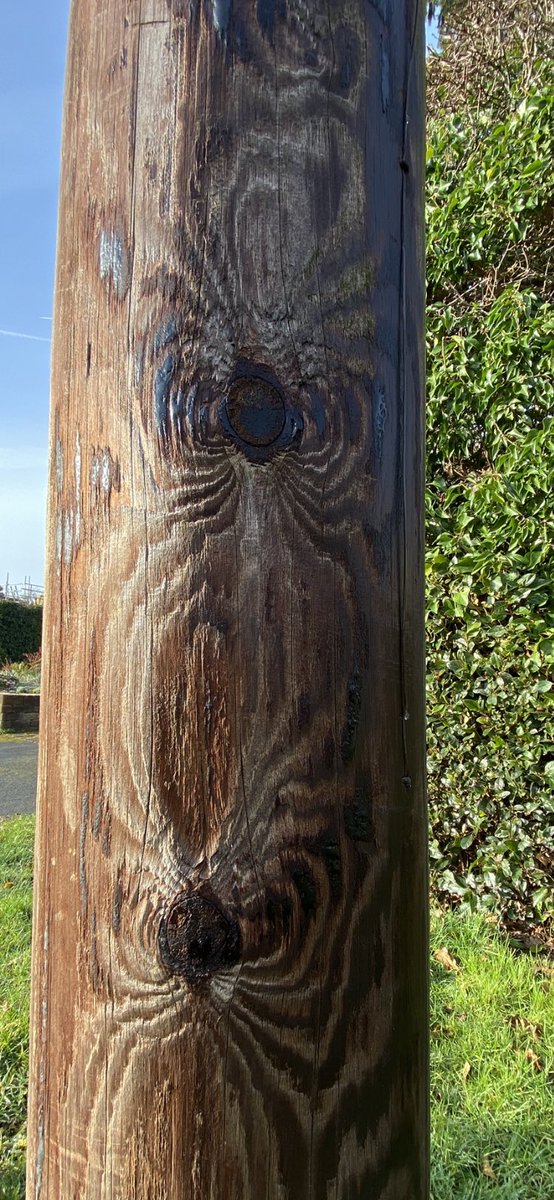Tess_2020's tweet image. #WeirdWednesday 
#photography 

👀👀Giant SPIDER imprints on a telegraph pole. 
🤔Or is it just me?🕷🕷