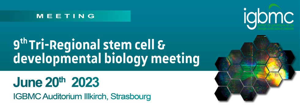 📅 Come and join us for the next Tri-Regional #stemcell &amp; developmental #biology meeting on June 20th !

Its aims is to bring together researchers to promote #scientific interactions as well as foster local collaboration in the Upper Rhine Valley.

💻 bit.ly/3ZKgajI