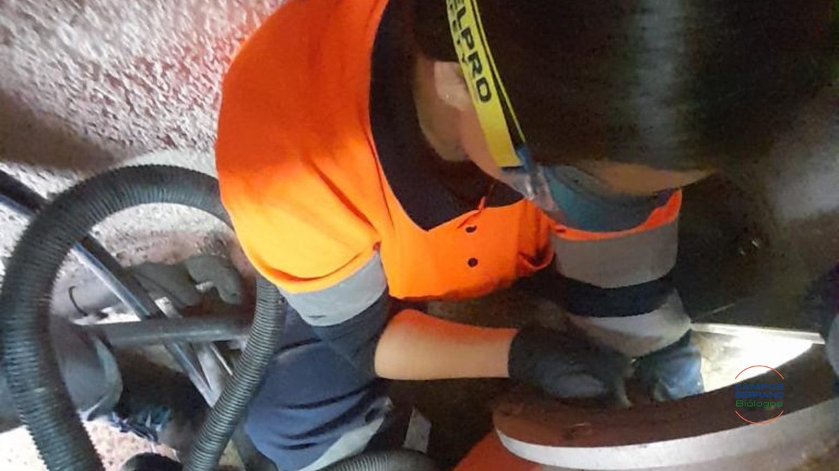 Un espacio confinado dentro de un espacio reducido. Cuando hacemos las operaciones de limpieza y desinfección de instalaciones de riesgo frente a legionelosis nos encontramos con limitaciones de espacio. 

✅ Prevenimos la 𝘓𝘦𝘨𝘪𝘰𝘯𝘦𝘭𝘭𝘢 ✅

#Legionella #Legionelosis