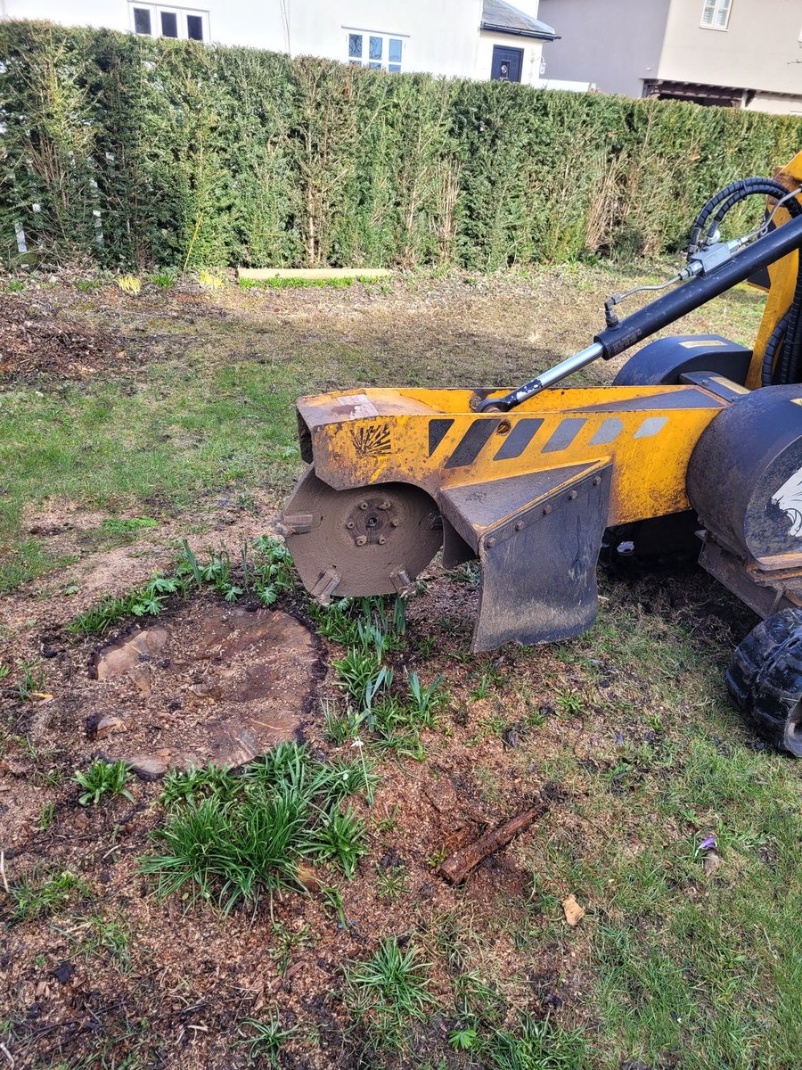 TreeGrinding tweet picture