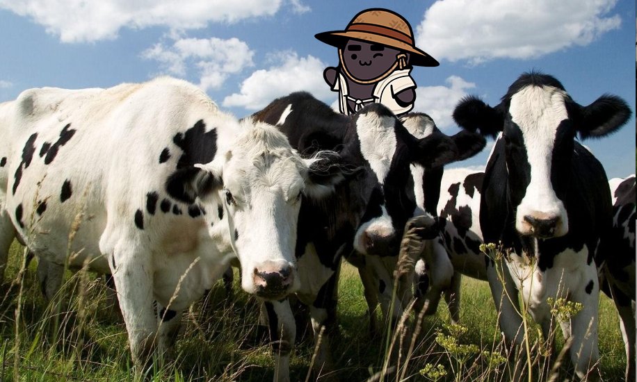 gm farmers!🌾⛩️

Even today he disappeared and reappeared in the herd of cows 🐄☀️
<a href="/Azuki/">Azuki</a> 
<a href="/BEANZOfficial/">BEANZ</a>