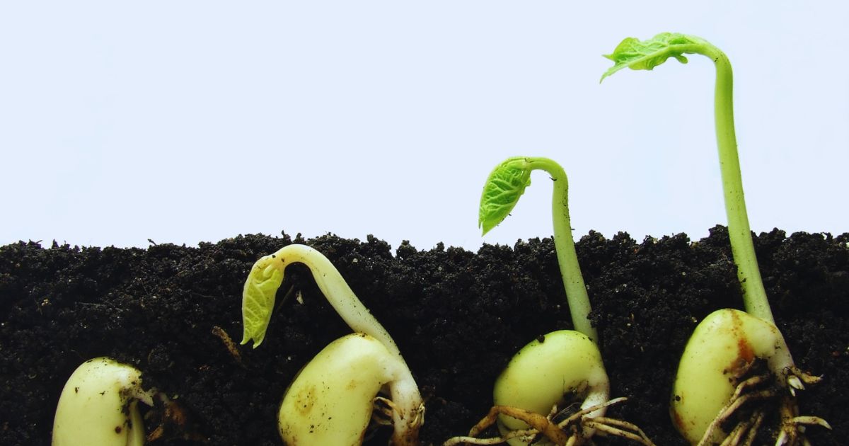 In less than a week, we officially enter the season of #spring: a time of #rebirth and #growth. Since we are entering the season of rebirth and growth, I want to share some #gardentips. These tips reflect what will be happening soon in the #Shakti Gar... - mailchi.mp/a909d1f543b5/s…