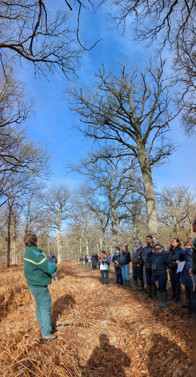 JBingold's tweet photo. https://t.co/Qby22bLcL4 à la sortie #ChauveSouris en forêt de #Rambouillet Suite colloque "gestion forestière et chauves-souris" organisé par #sfepm @federatio_cen @ONf
@cnpf CNPF CNPF Bourgogne-Franche-Comté 
@bfc_region https://t.co/jpu23LXNgb