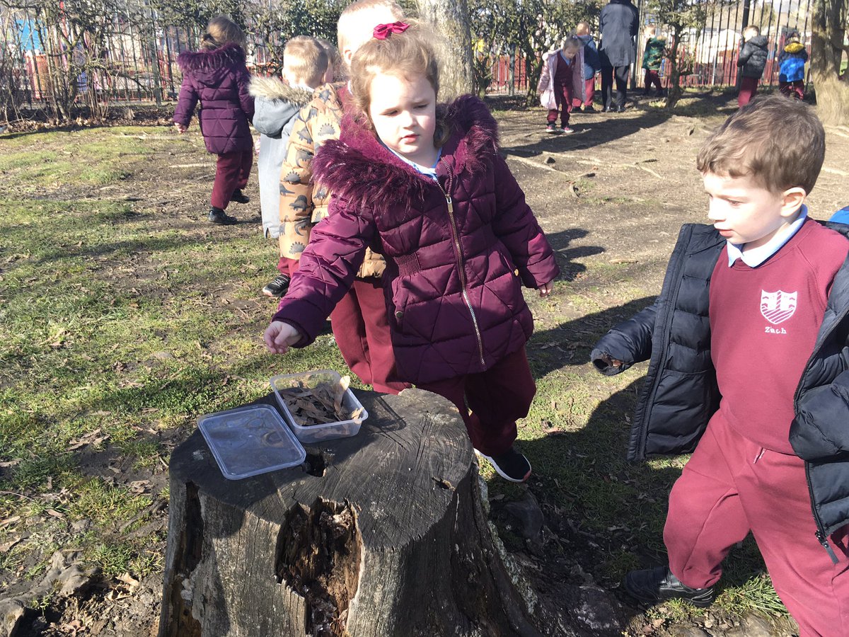 MrsPBHPS's tweet photo. #receptionbhps Seized the season by collecting sycamore seeds and threw them in different ways to see how they could make them spin @EAS_EarlyYears @BeaufortHillPri https://t.co/QjVXE0doPz