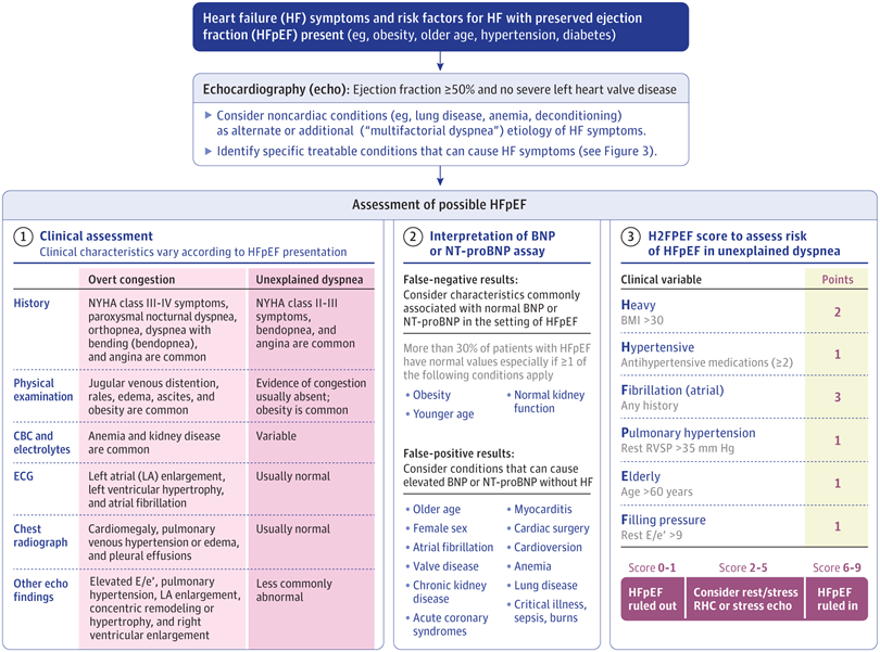 SeguraCardio's tweet photo. 📌Heart Failure With Preserved Ejection Fraction

A #Review in @JAMANetwork 

#CardioEd #CardioTwitter #HFpEF #JAMA https://t.co/vIjaWulx15